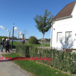 Goetterswicker_17